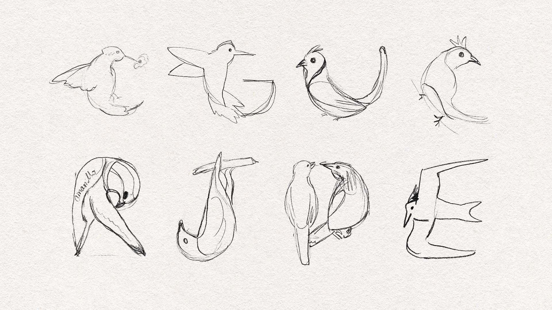 Bocetos-Aves-CR-1